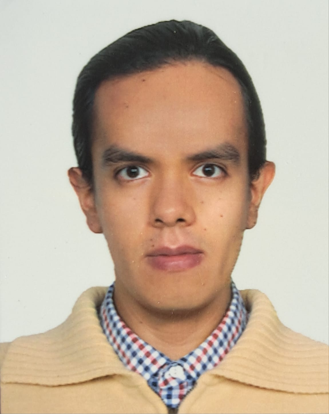 Mtro. David Ignacio Velázquez Rendón.